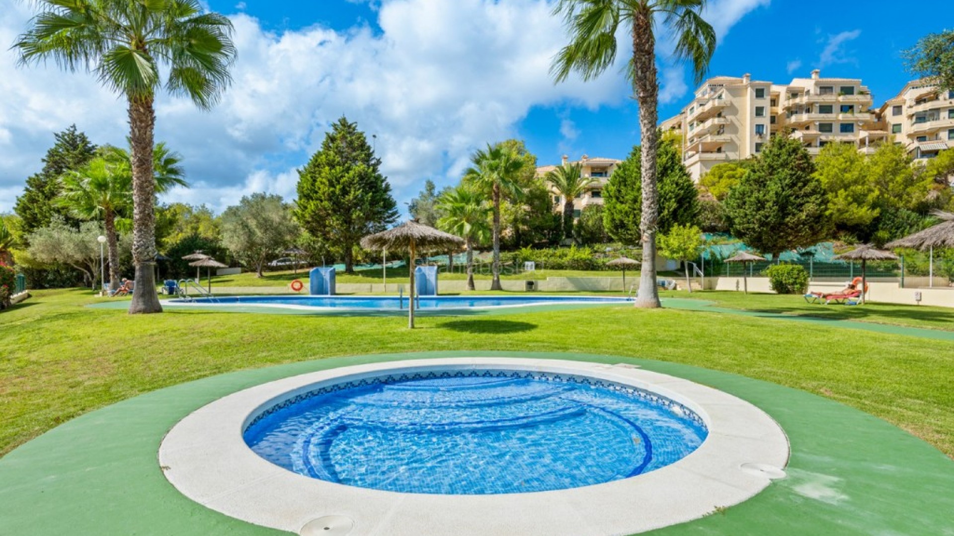 Resale - Apartment -
Campoamor