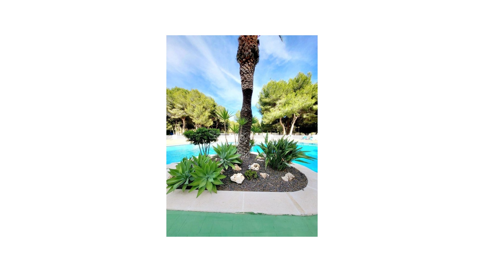 Resale - Apartment -
Dehesa de Campoamor - Campoamor