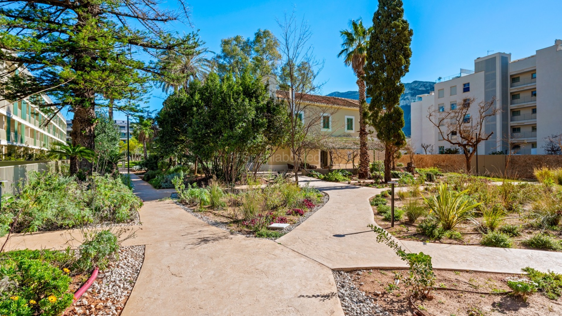 Resale - Apartment -
Denia - Puerto