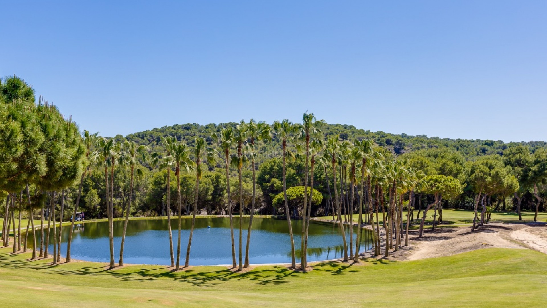 Resale - Apartment -
Las Ramblas