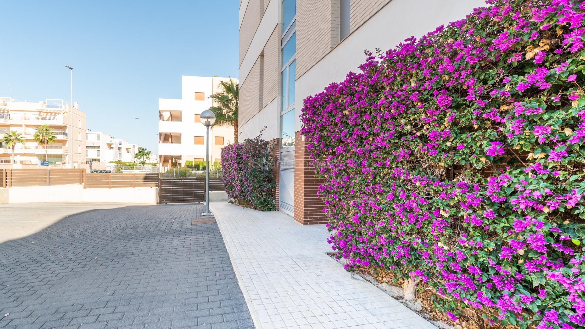 Resale - Apartment -
Orihuela Costa - Los Dolses