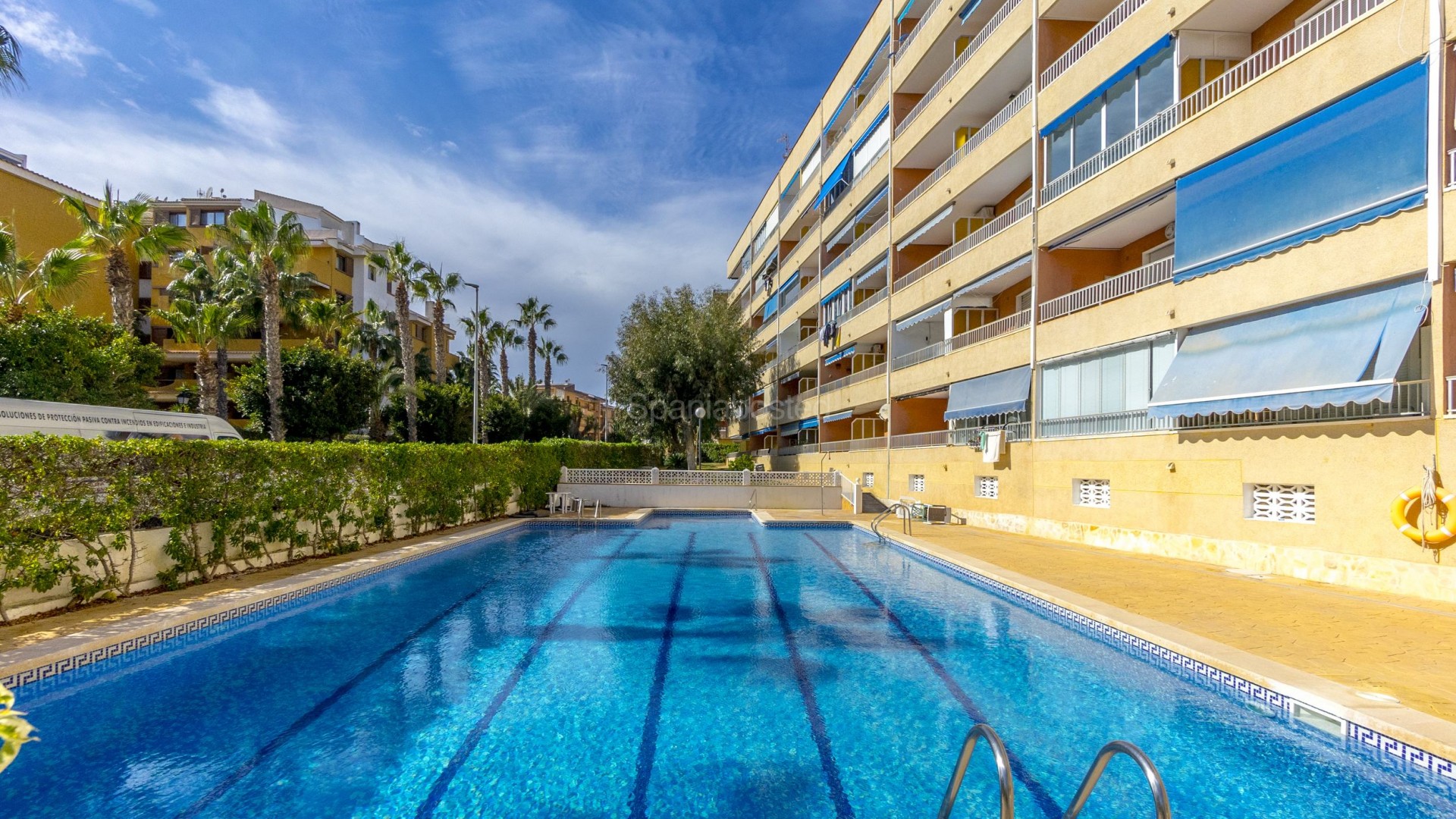 Resale - Apartment -
Punta Prima - El Acequión