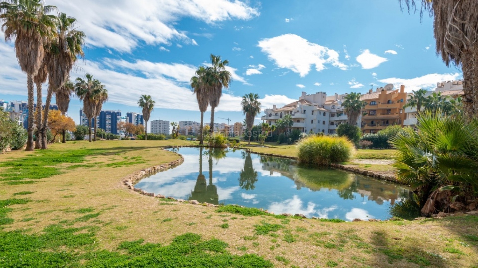 Resale - Apartment -
Punta Prima