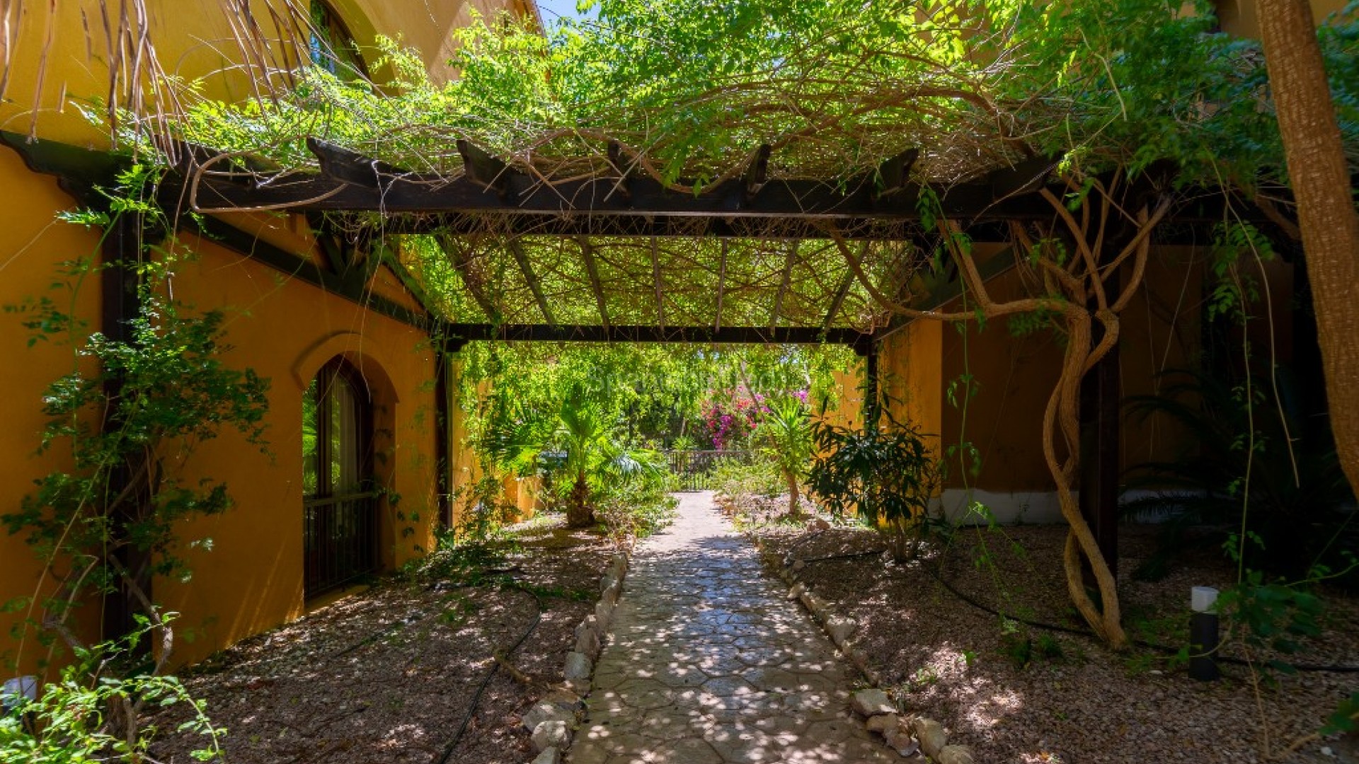 Resale - Apartment -
Punta Prima