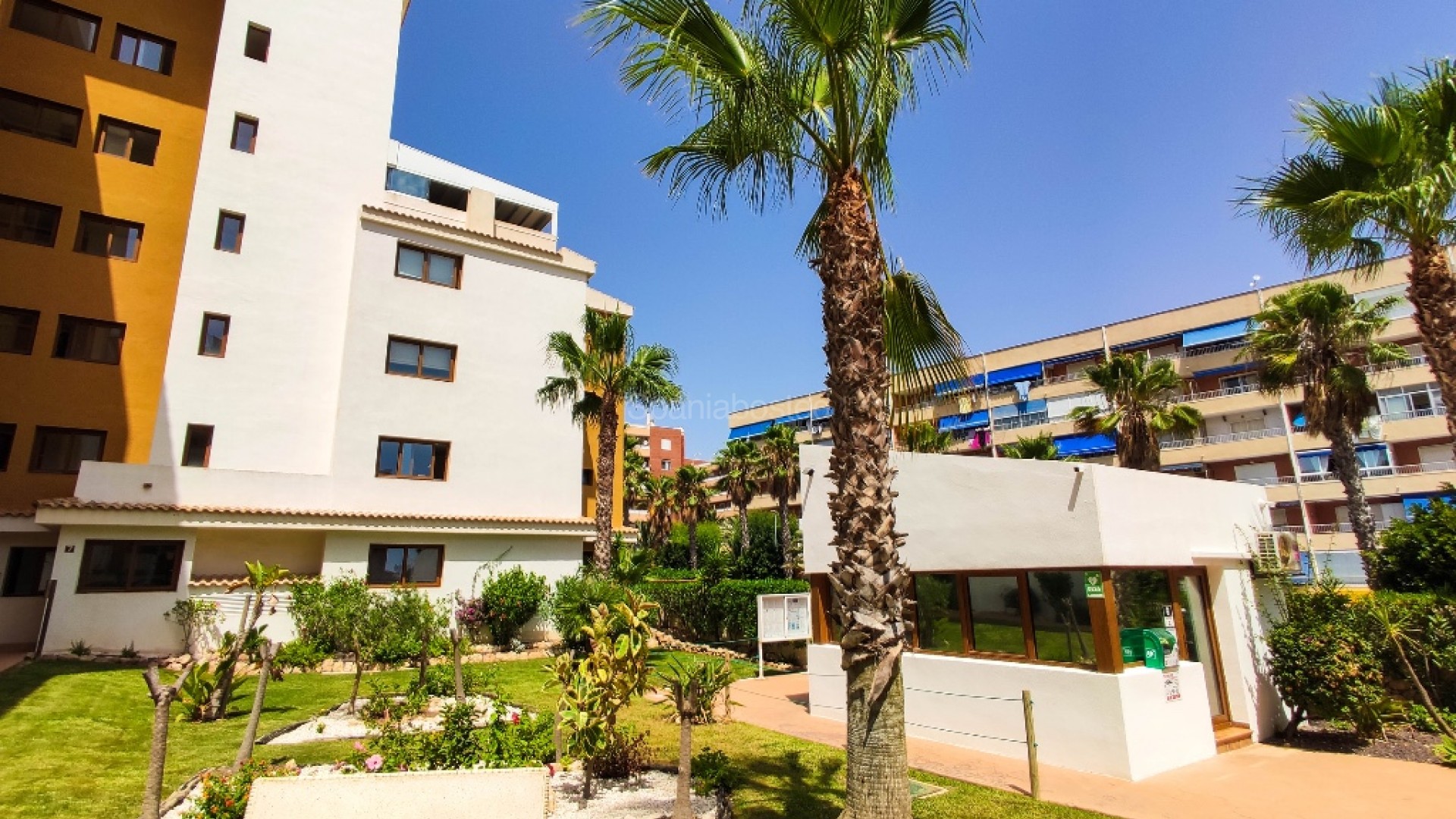 Resale - Apartment -
Punta Prima