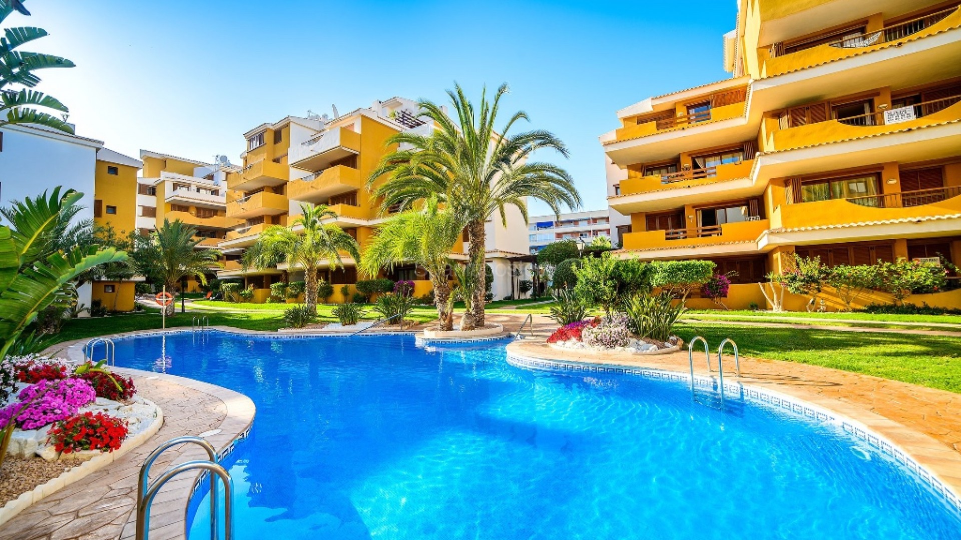 Resale - Apartment -
Punta Prima