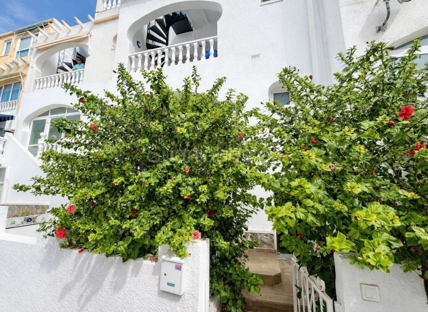 Resale - Apartment -
San Miguel de Salinas - Las filipinas