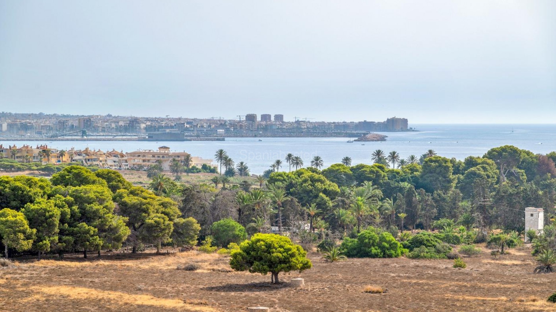 Resale - Apartment -
Torrevieja - Punta prima