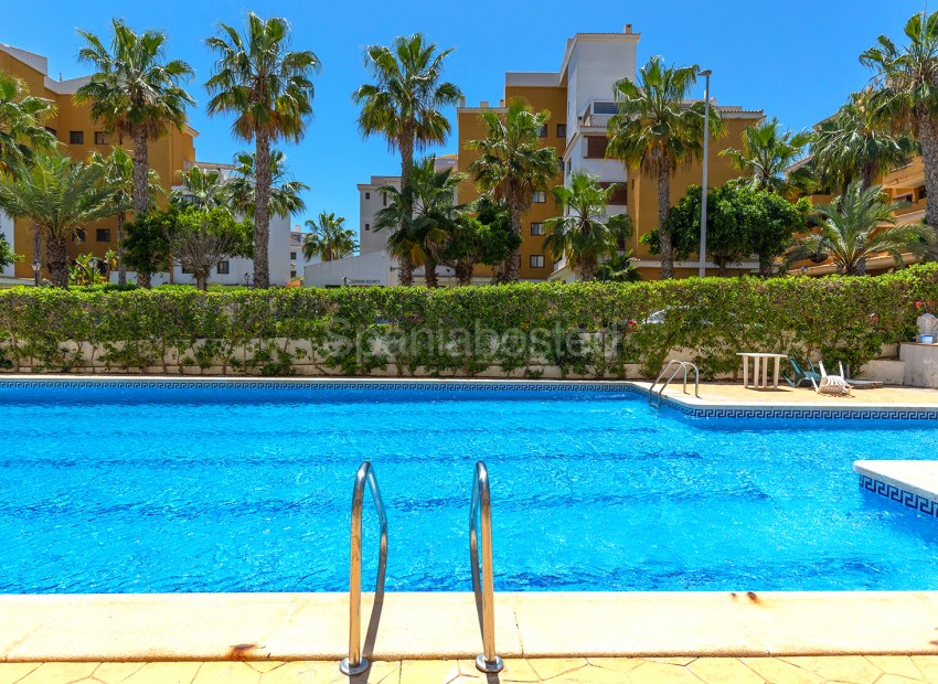 Resale - Apartment -
Torrevieja - Rocio del Mar