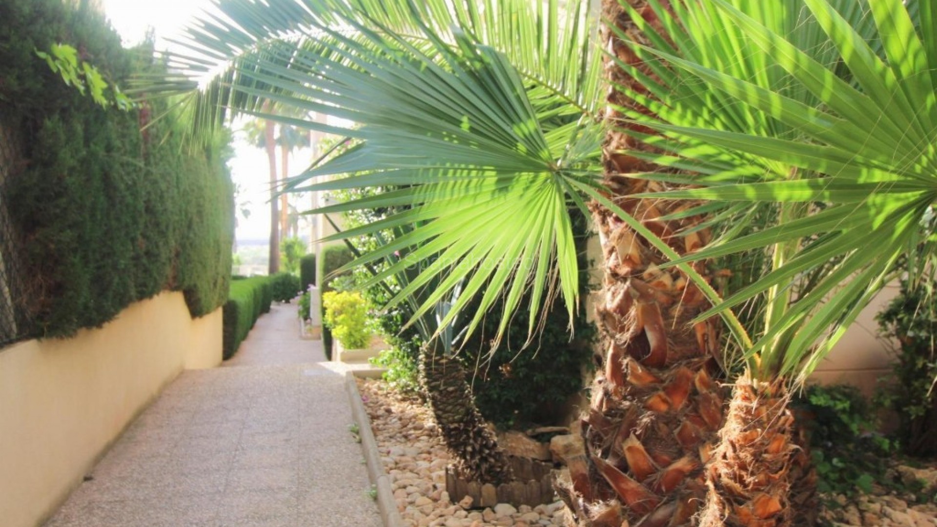 Resale - Apartment -
Torrevieja