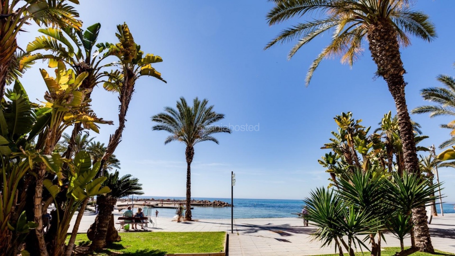 Resale - Apartment -
Torrevieja