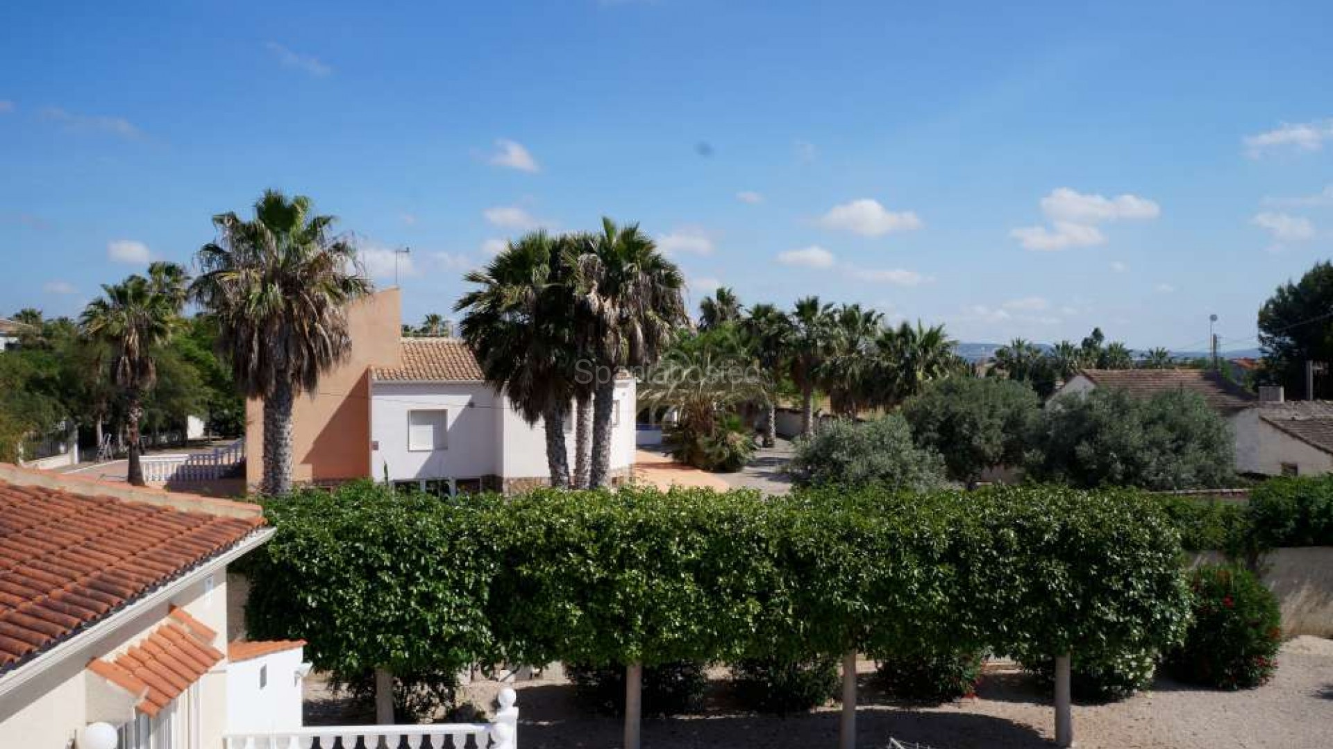 Resale - Finca Country Property -
Catral