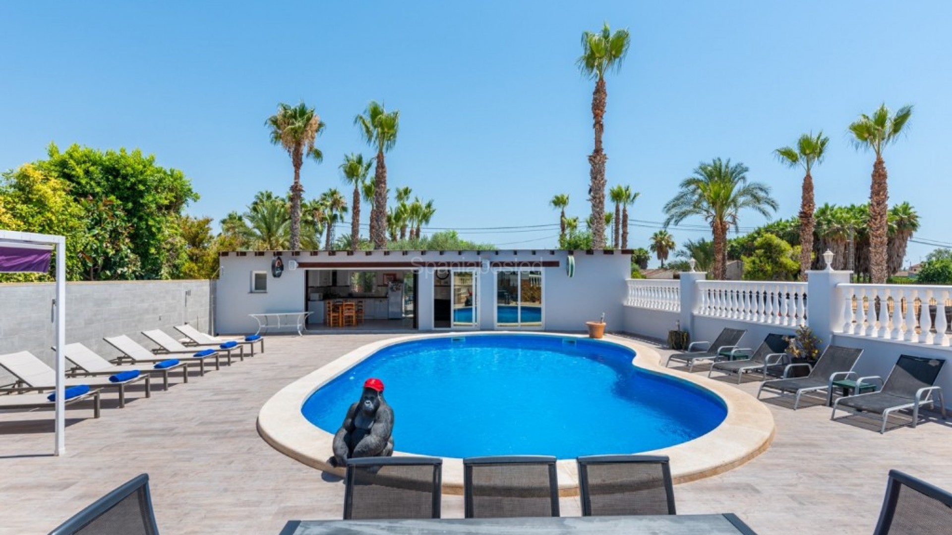 Resale - Finca Country Property -
Catral