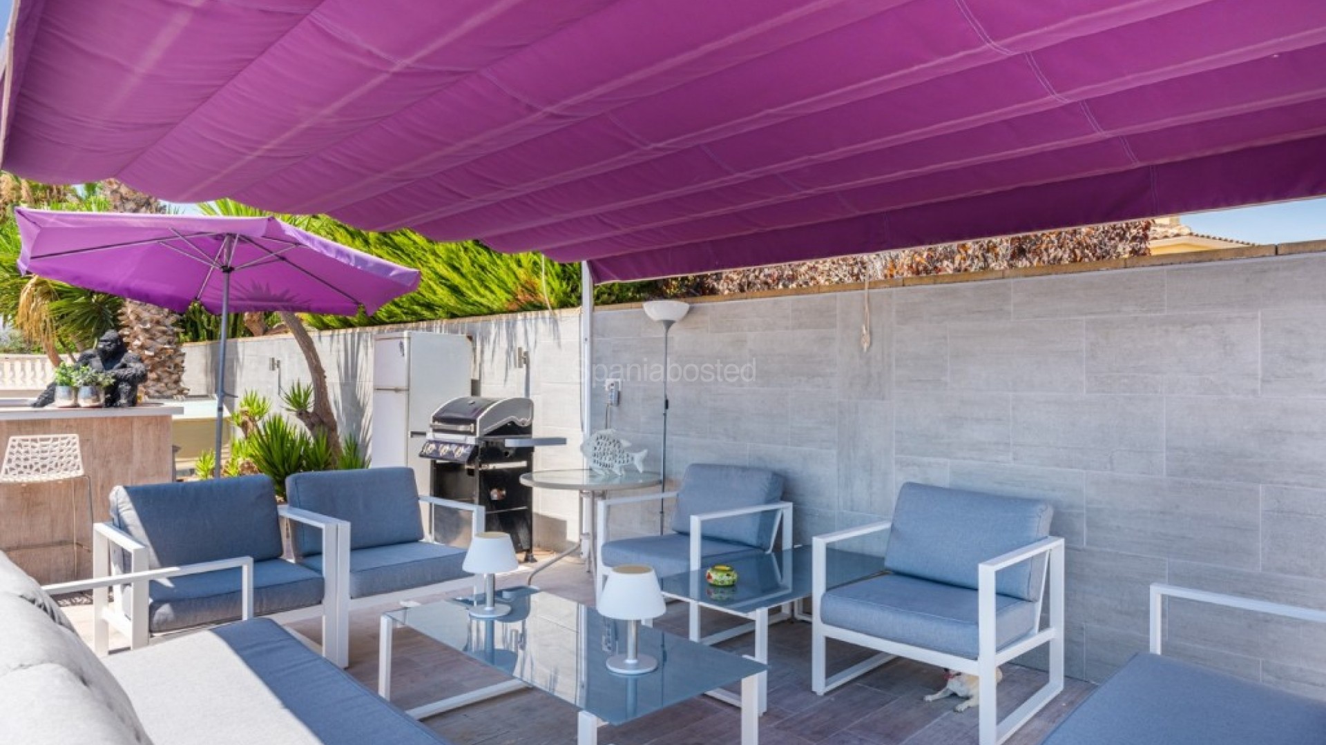 Resale - Finca Country Property -
Catral