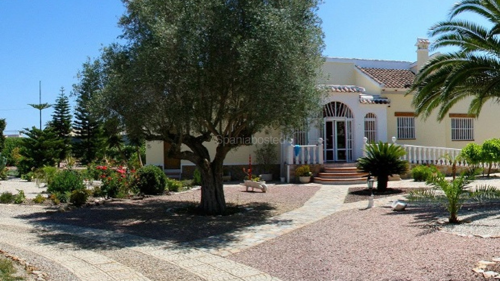 Resale - Finca Country Property -
Daya Vieja