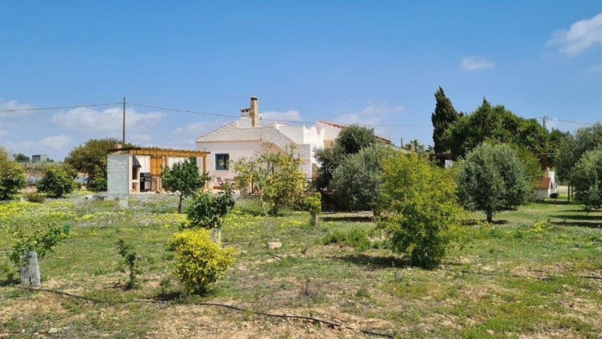 Resale - Finca Country Property -
Los Montesinos