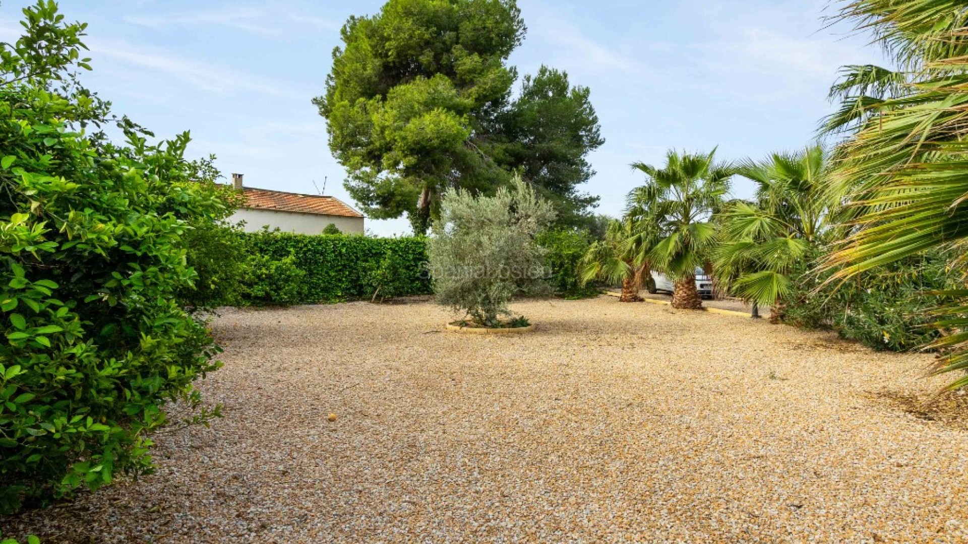 Resale - Finca Country Property -
Orihuela