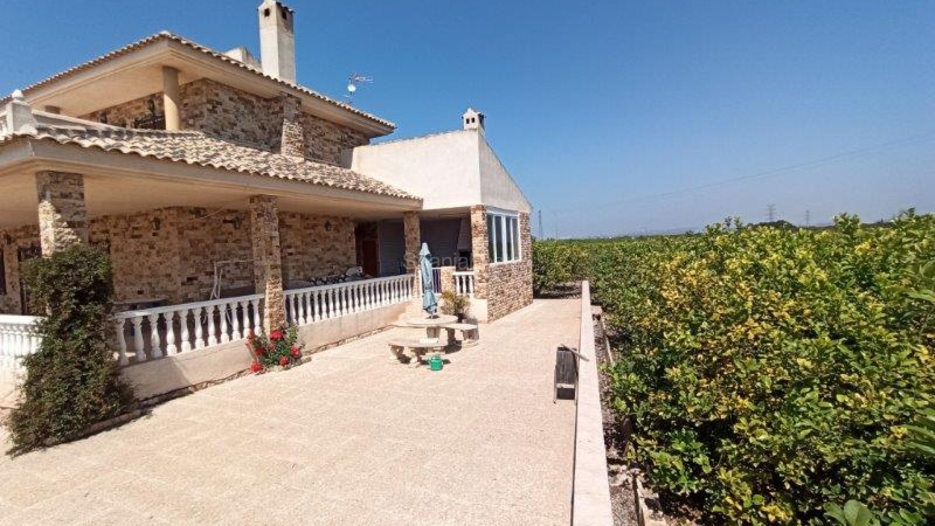 Resale - Finca Country Property -
San Miguel de Salinas