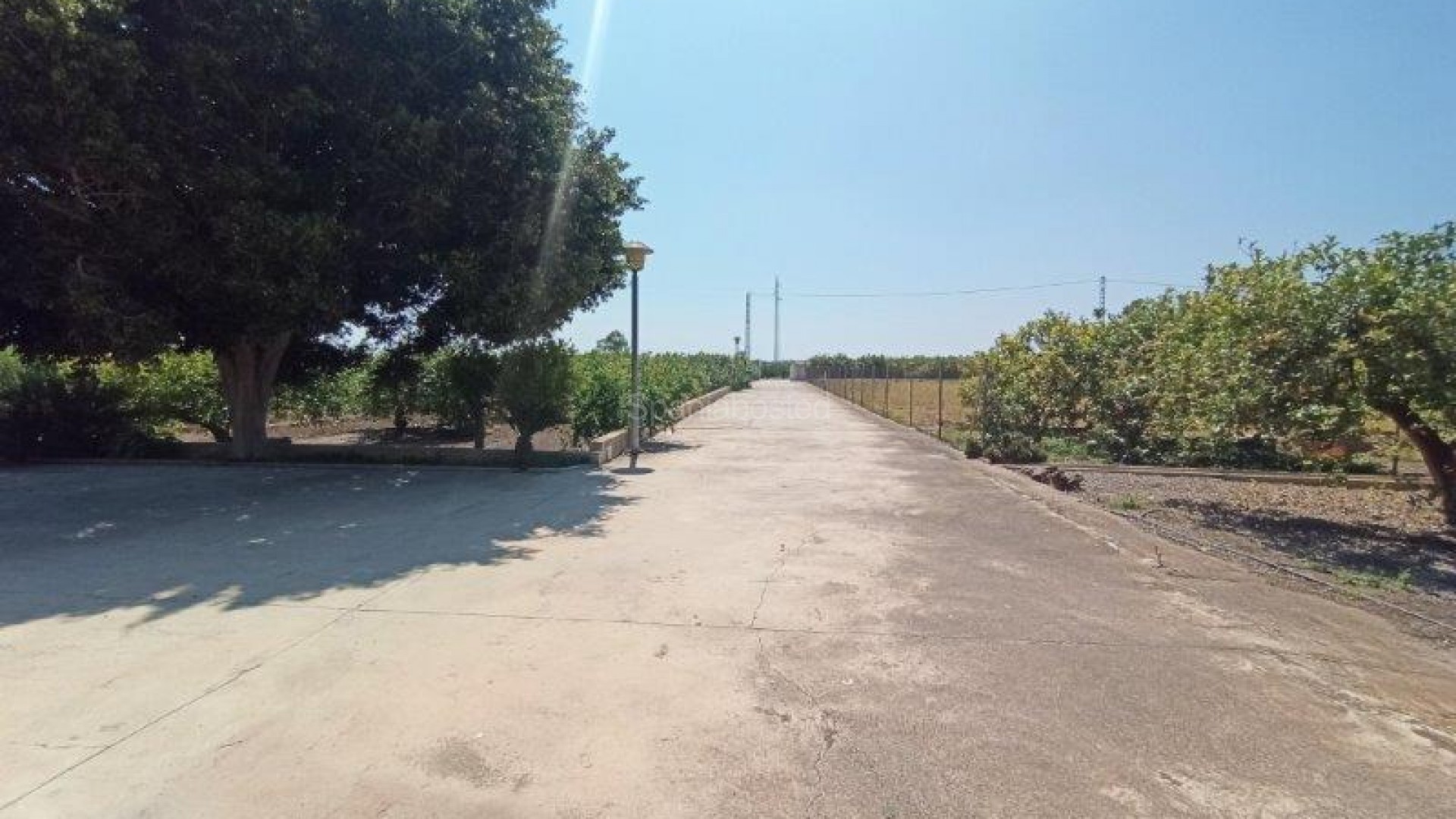 Resale - Finca Country Property -
San Miguel de Salinas