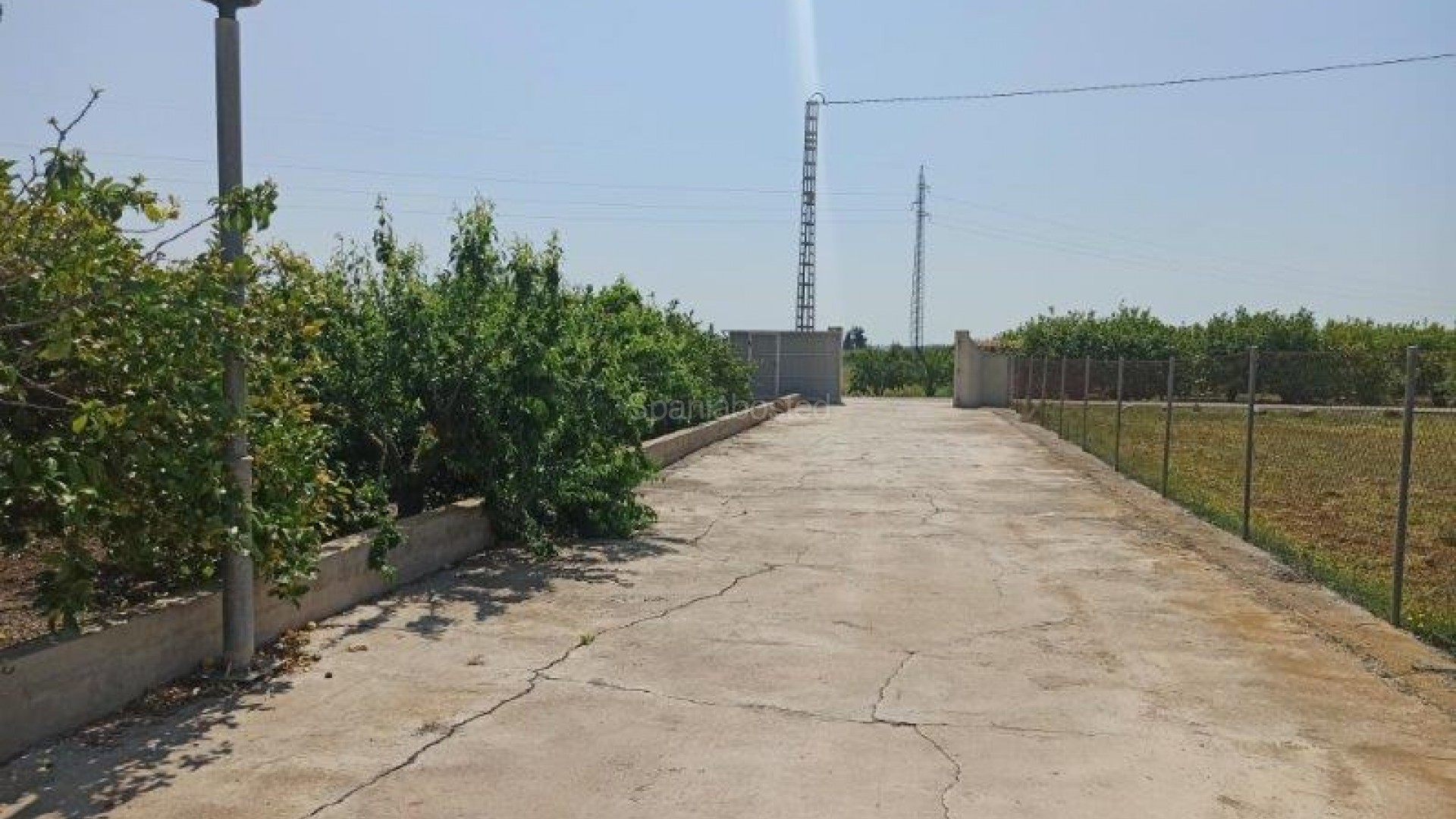 Resale - Finca Country Property -
San Miguel de Salinas