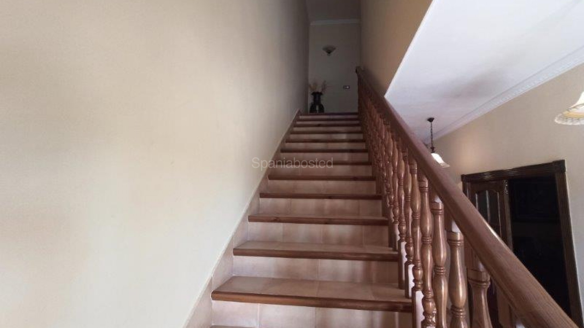 Resale - Finca Country Property -
San Miguel de Salinas