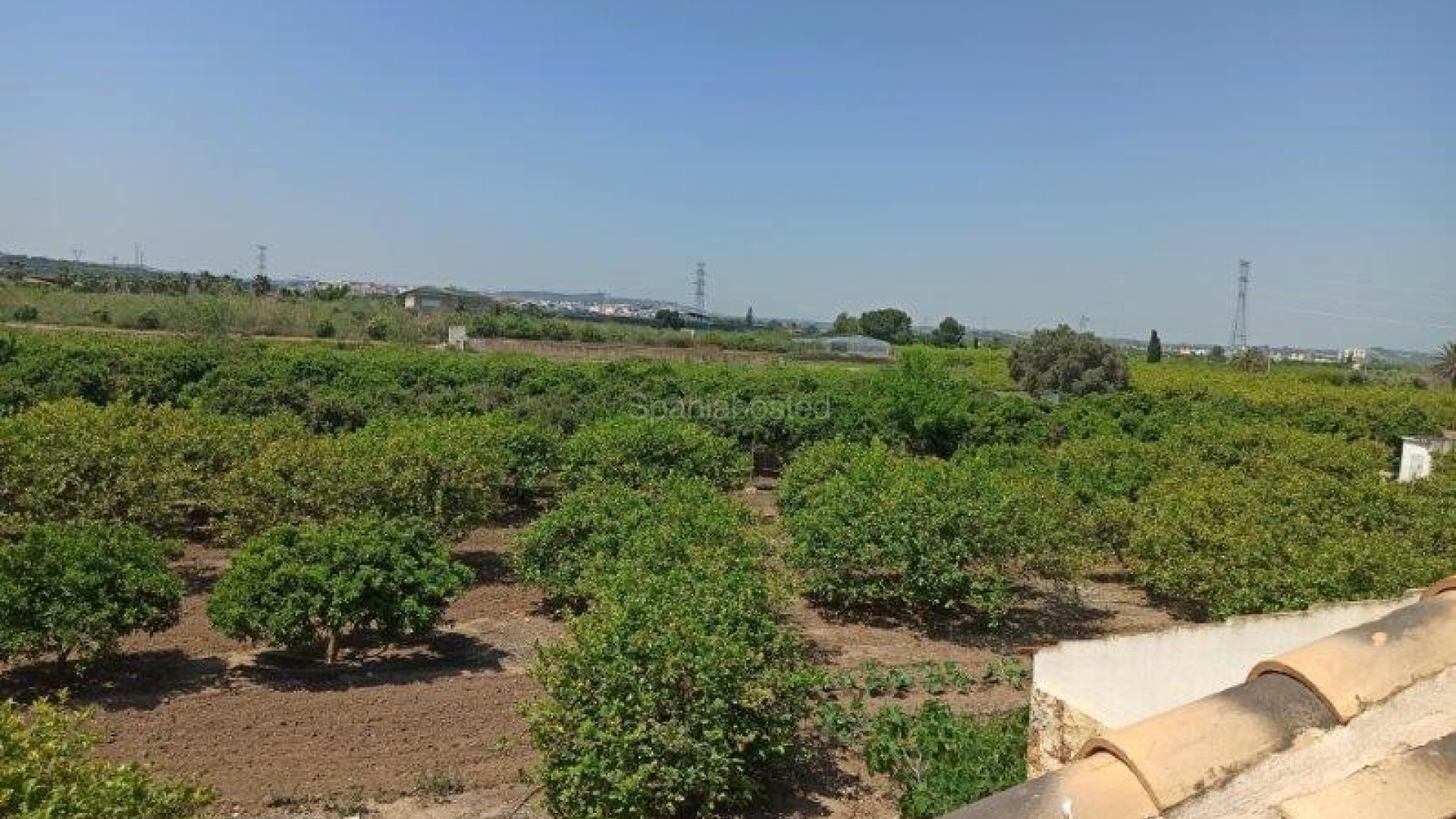 Resale - Finca Country Property -
San Miguel de Salinas