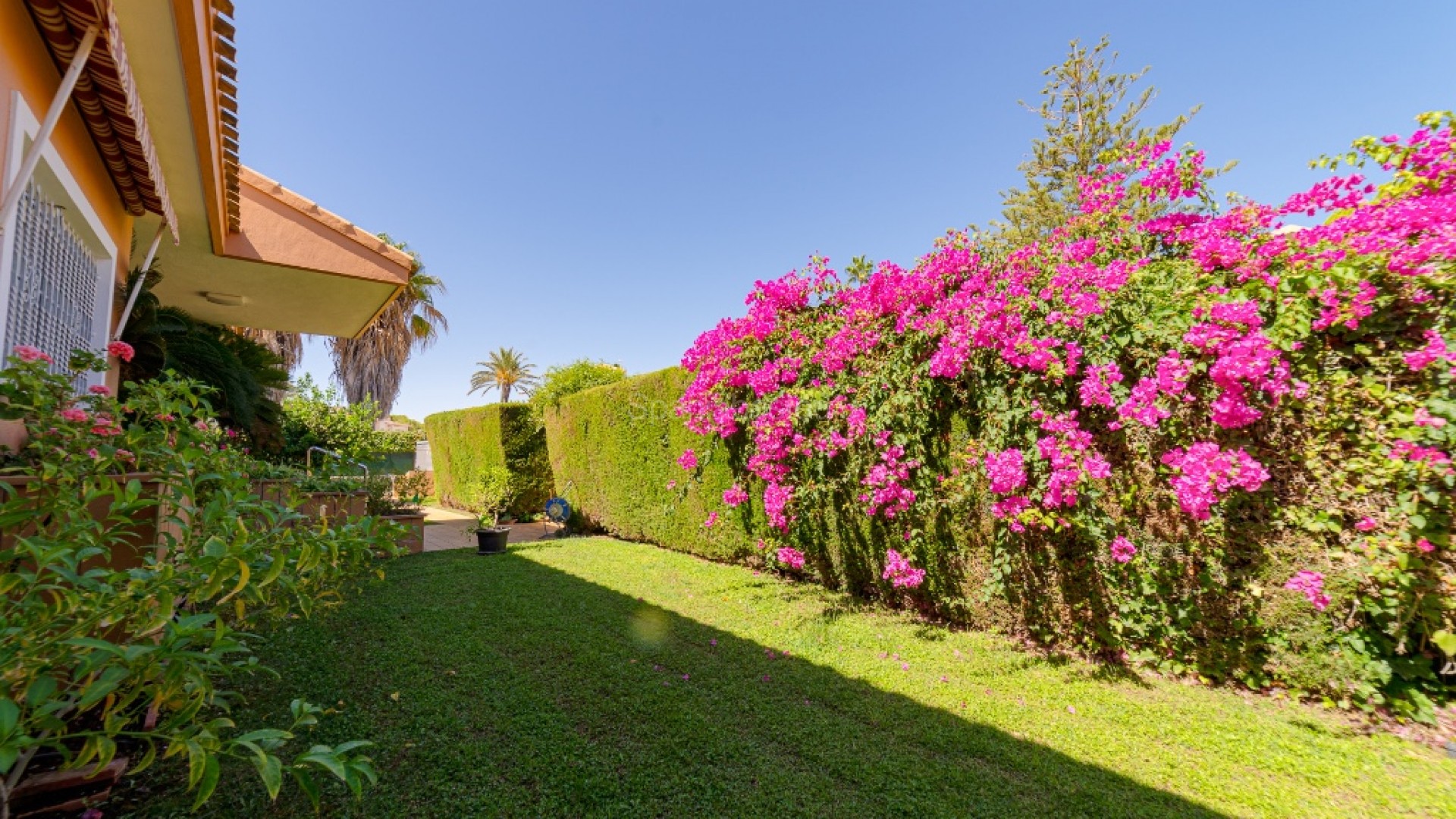 Resale - Villa -
Campoamor