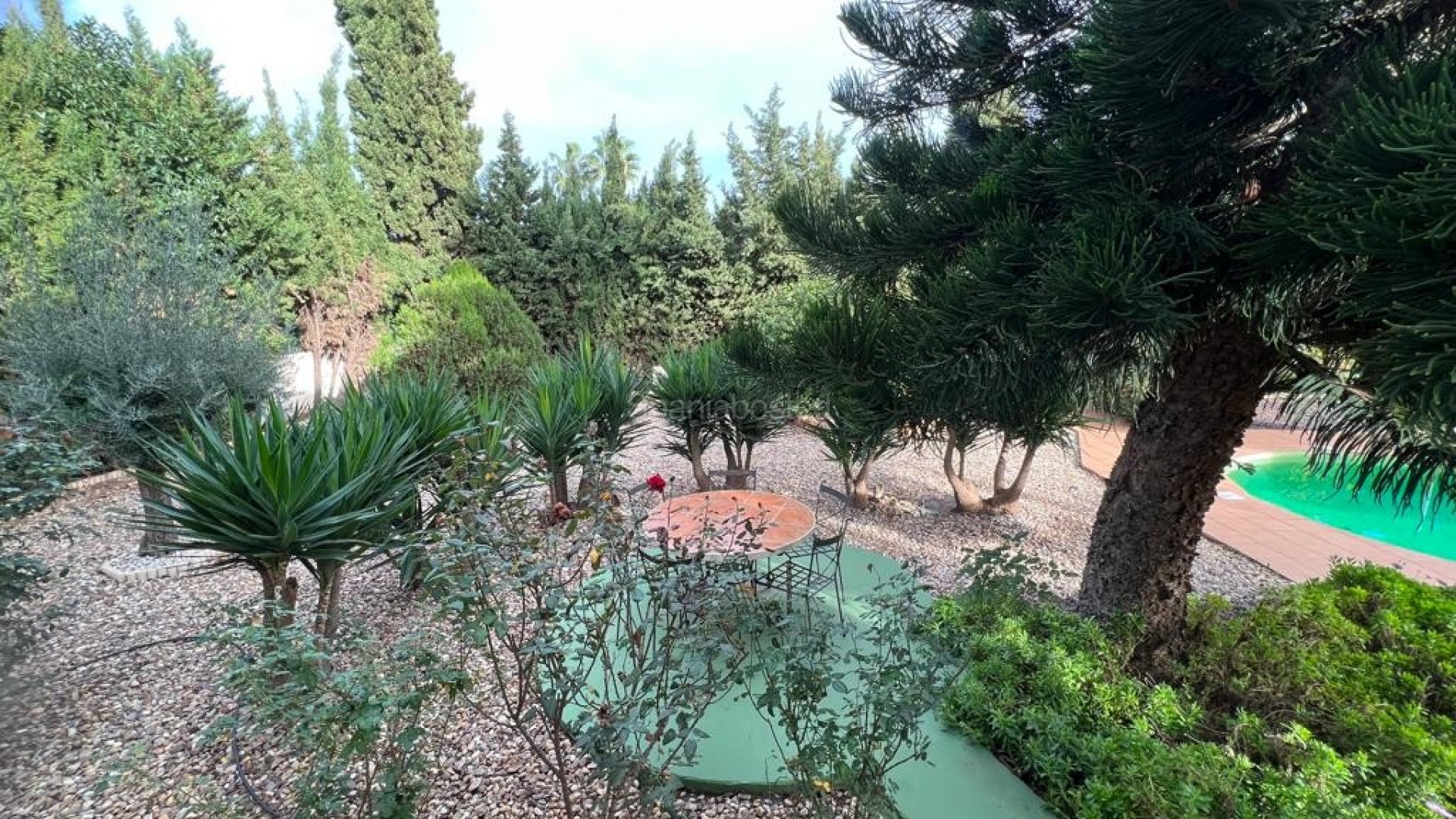 Resale - Villa -
Ciudad Quesada