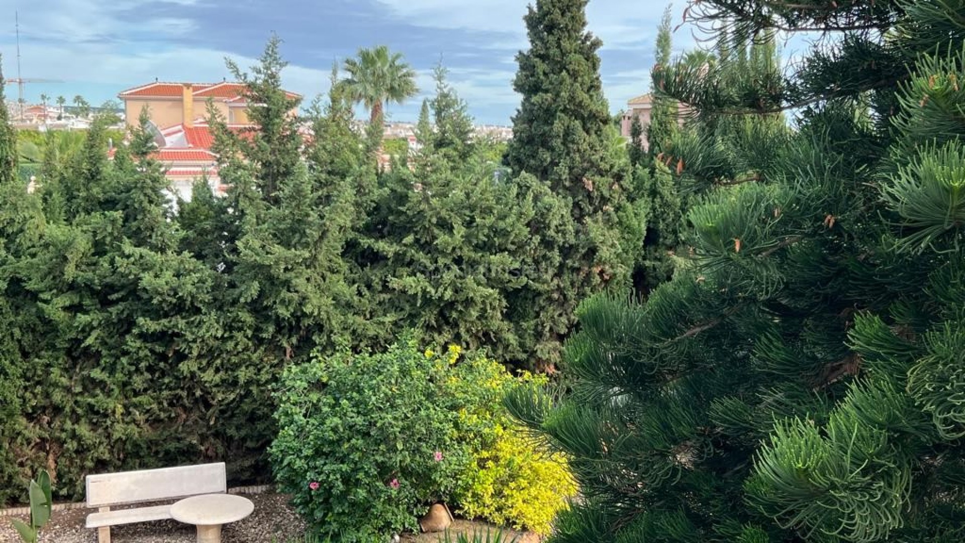 Resale - Villa -
Ciudad Quesada