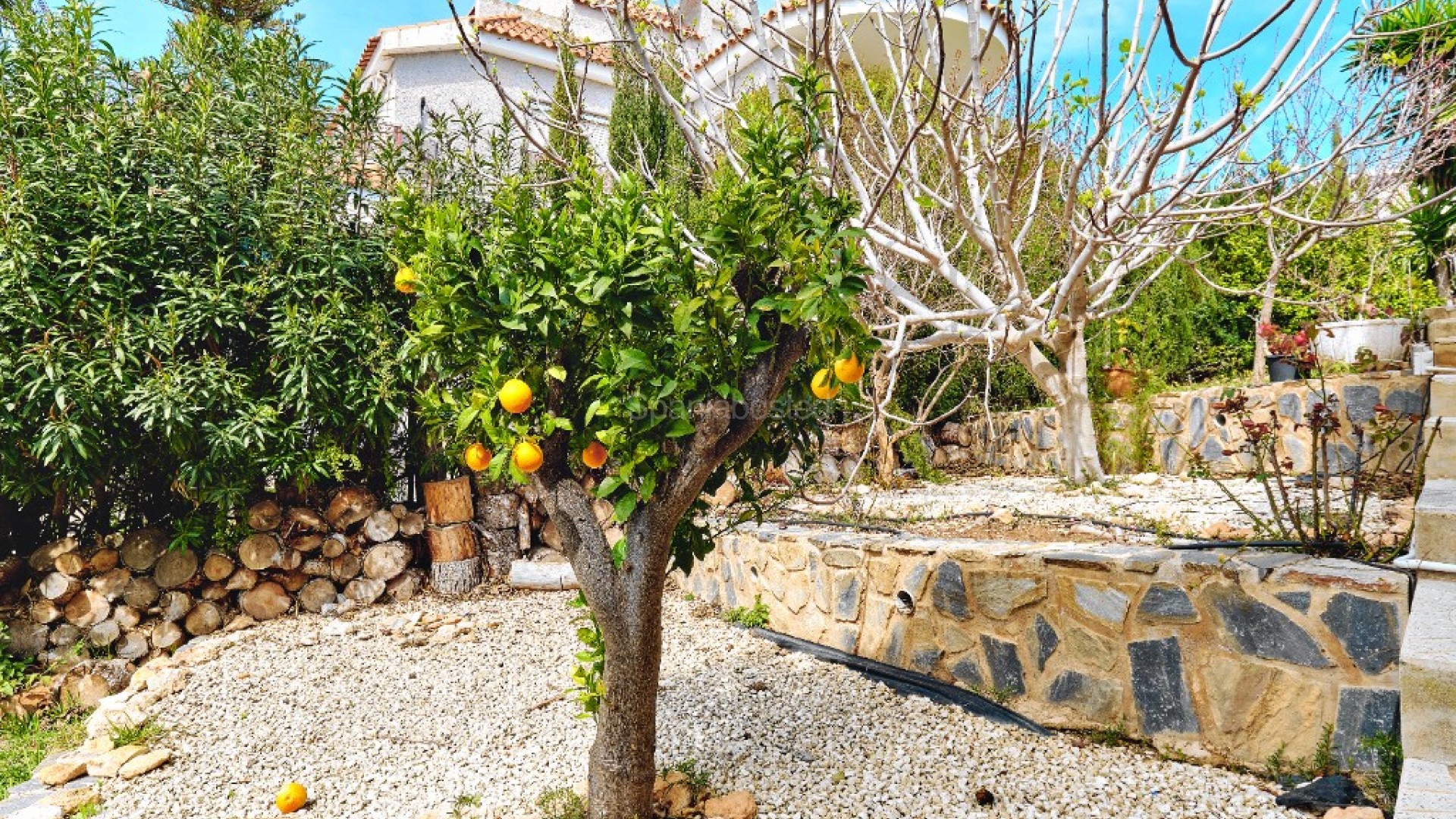 Resale - Villa -
Dehesa de Campoamor - Campoamor