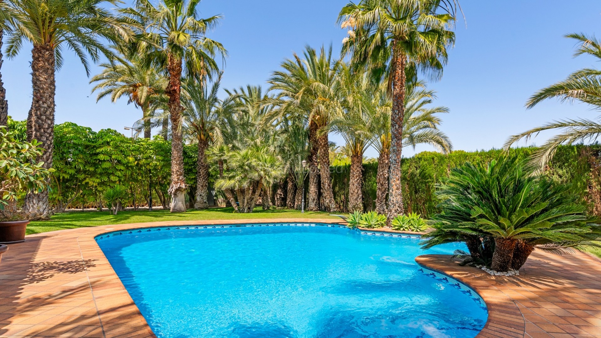 Resale - Villa -
Elche/Elx