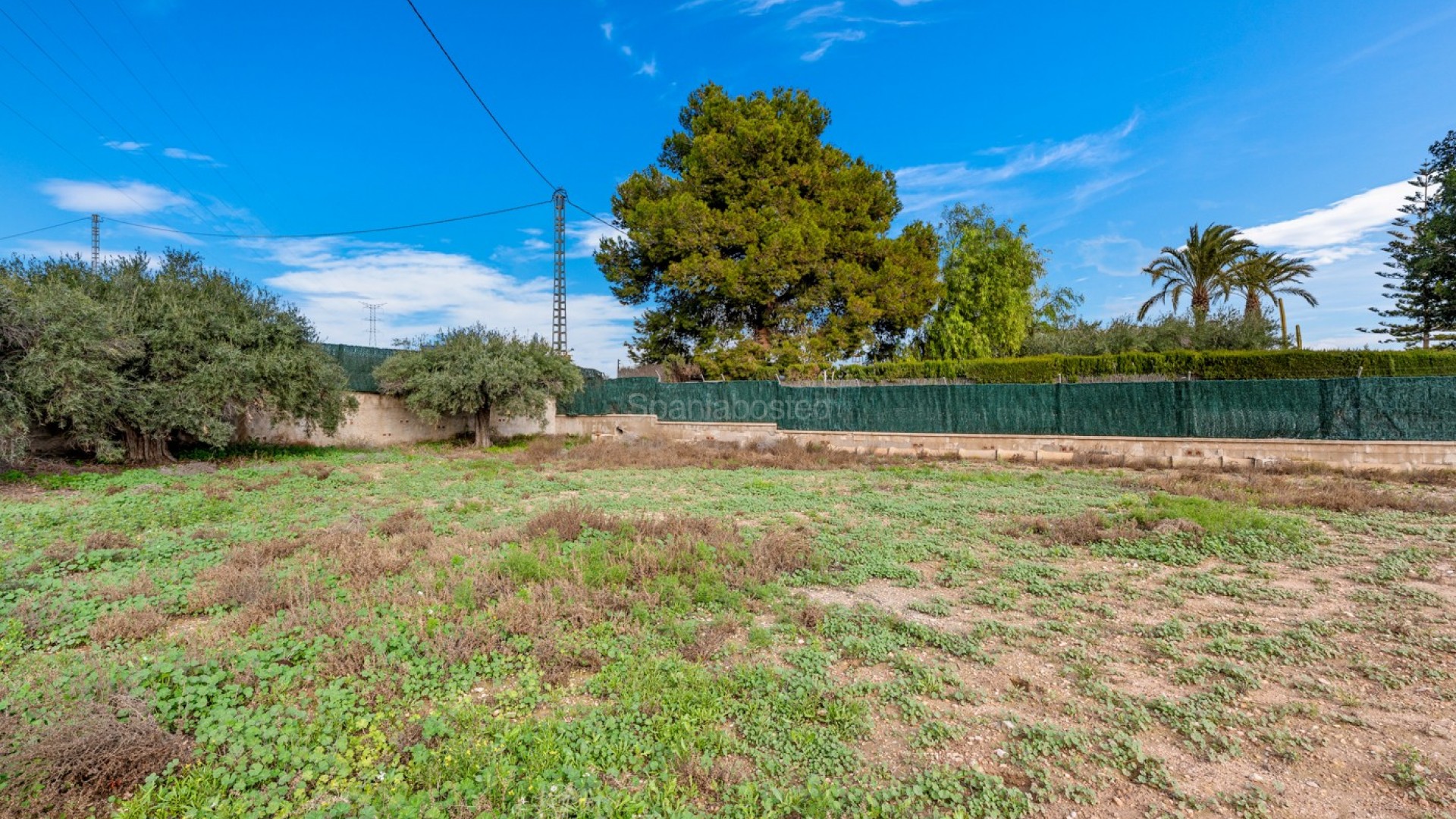 Resale - Villa -
Elche/Elx