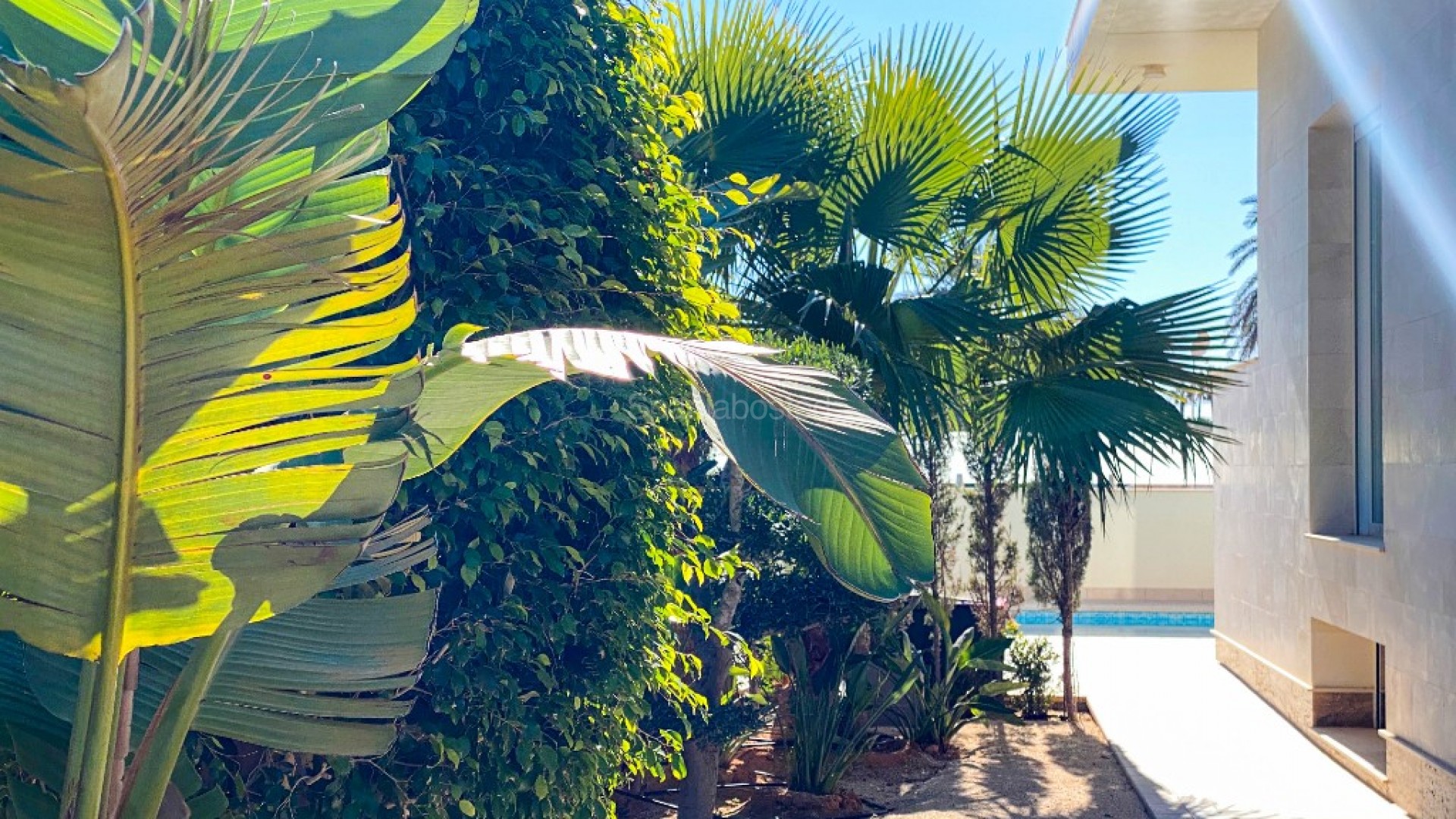 Resale - Villa -
La Zenia