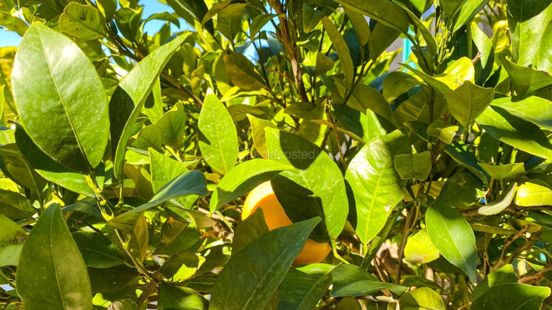 Resale - Villa -
La Zenia