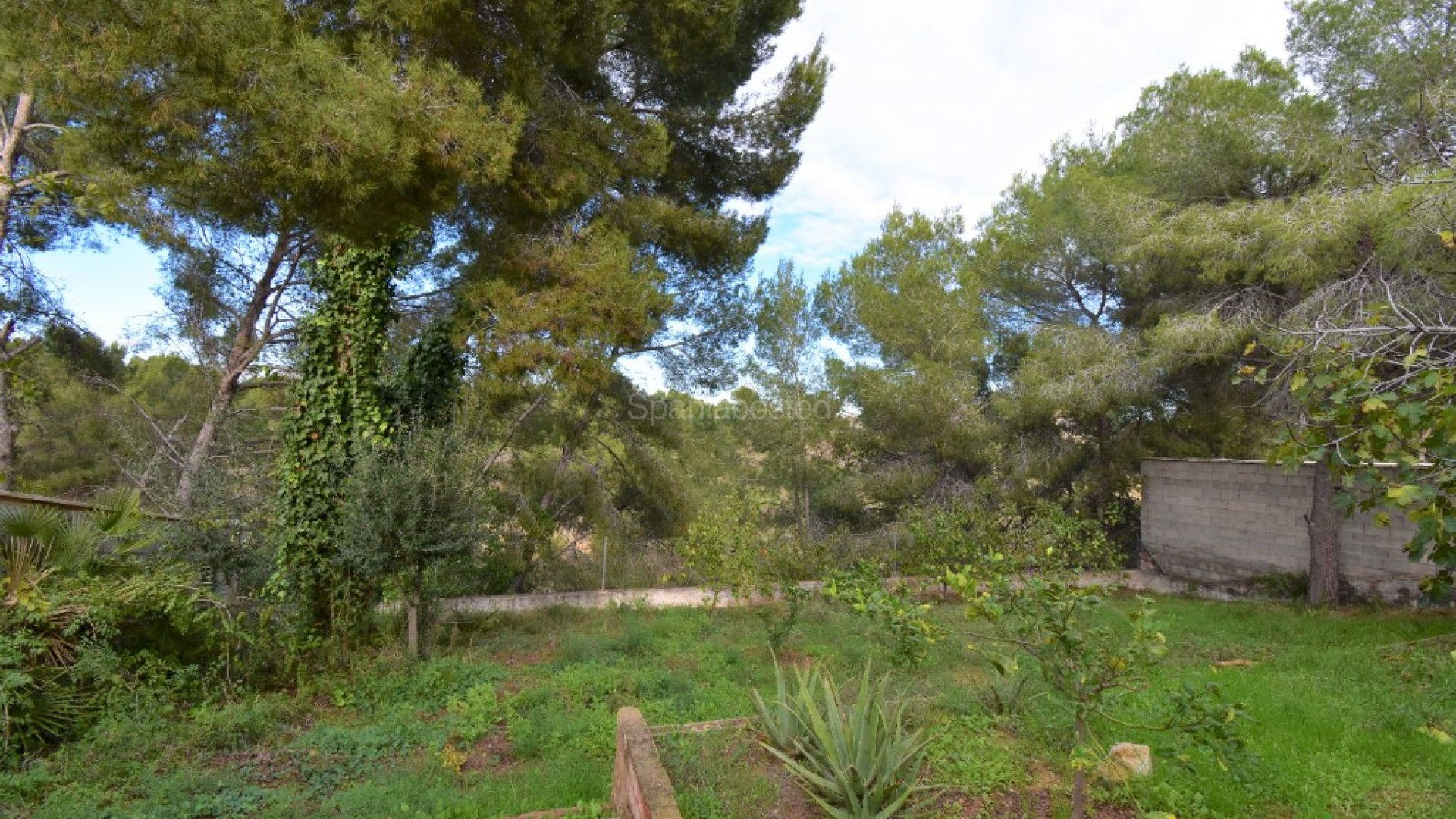 Resale - Villa -
Pinar de Campoverde