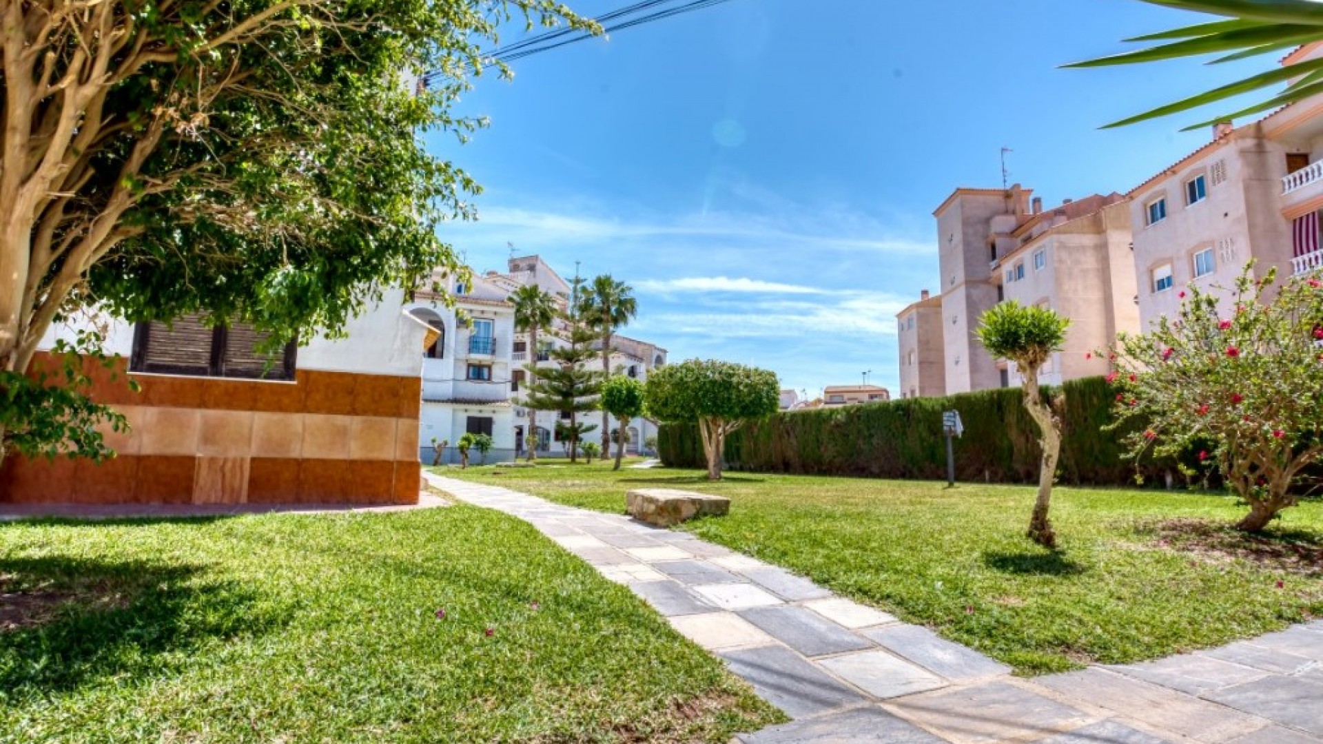 Segunda mano - Adosado -
Torrevieja