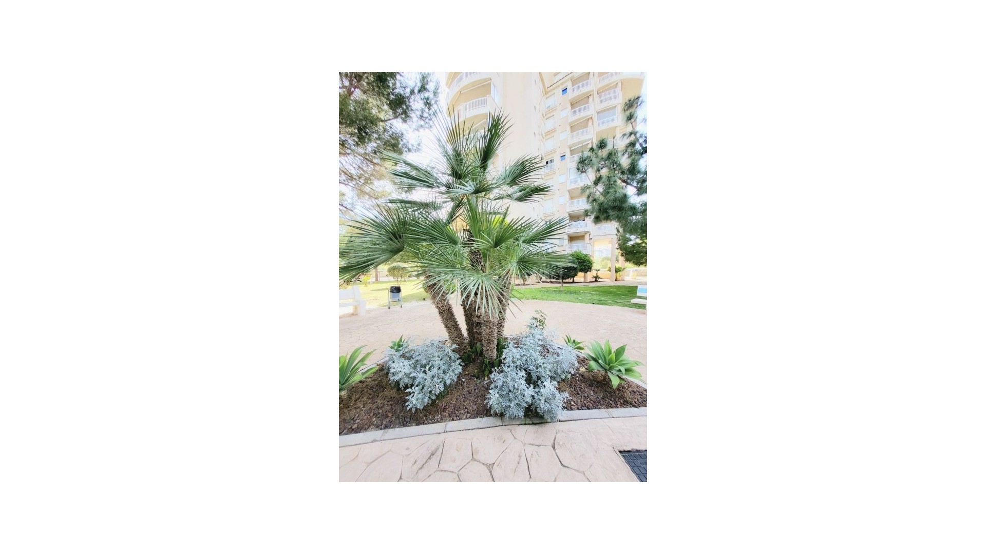 Segunda mano - Apartamento -
Dehesa de Campoamor - Campoamor