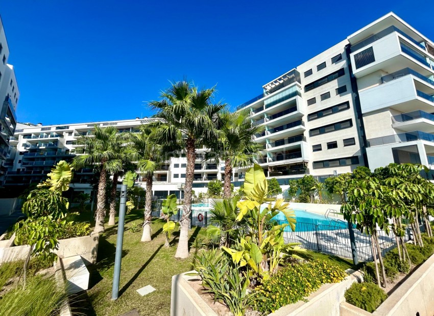Segunda mano - Apartamento -
Dehesa de campoamor - Campoamor