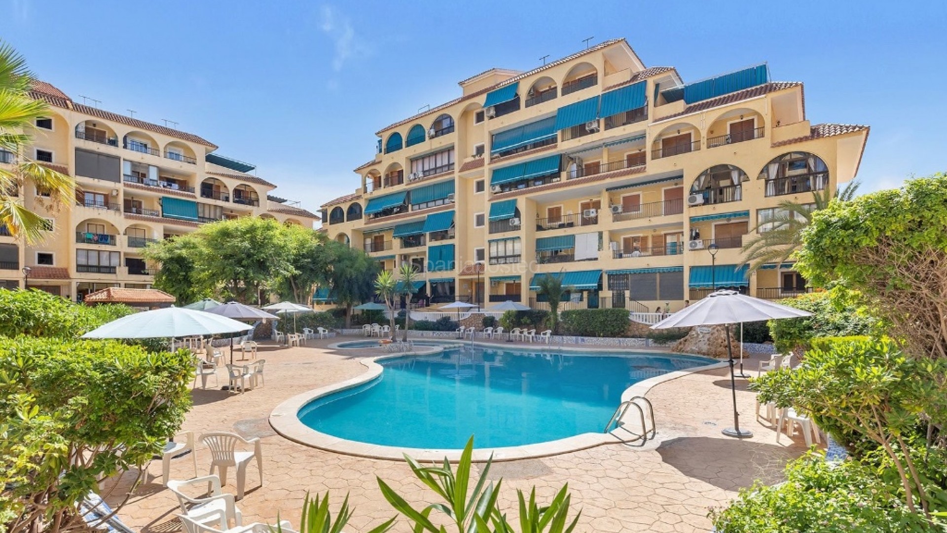 Segunda mano - Apartamento -
La Mata