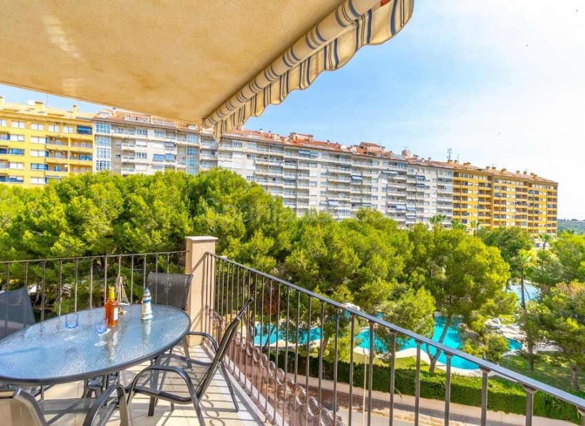 Segunda mano - Apartamento -
Orihuela Costa - Campoamor