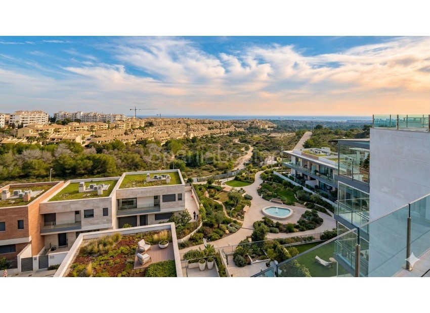 Segunda mano - Apartamento -
Orihuela Costa - Campoamor