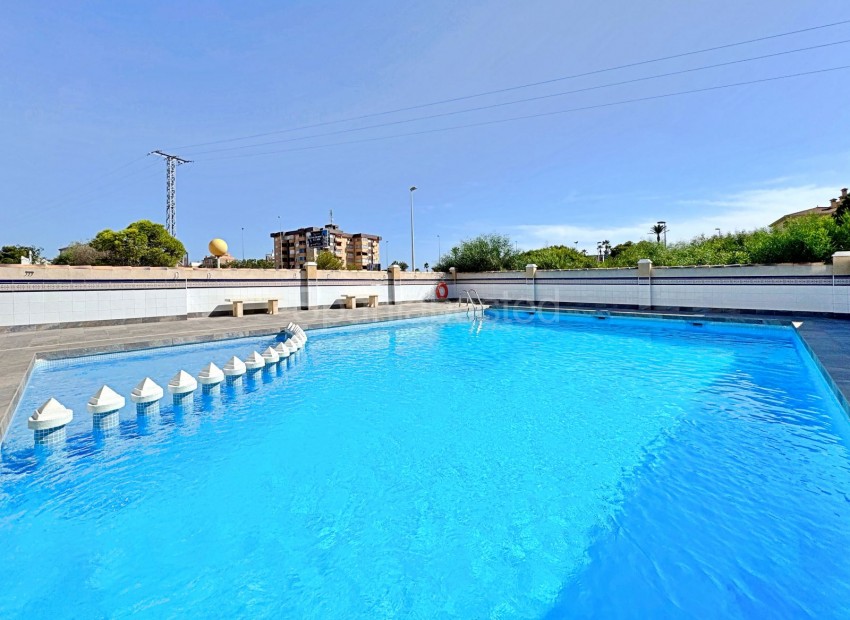 Segunda mano - Apartamento -
Orihuela Costa - La Zenia