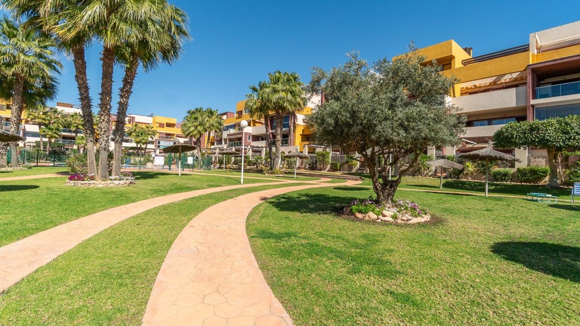 Segunda mano - Apartamento -
Orihuela Costa - Playa Flamenca