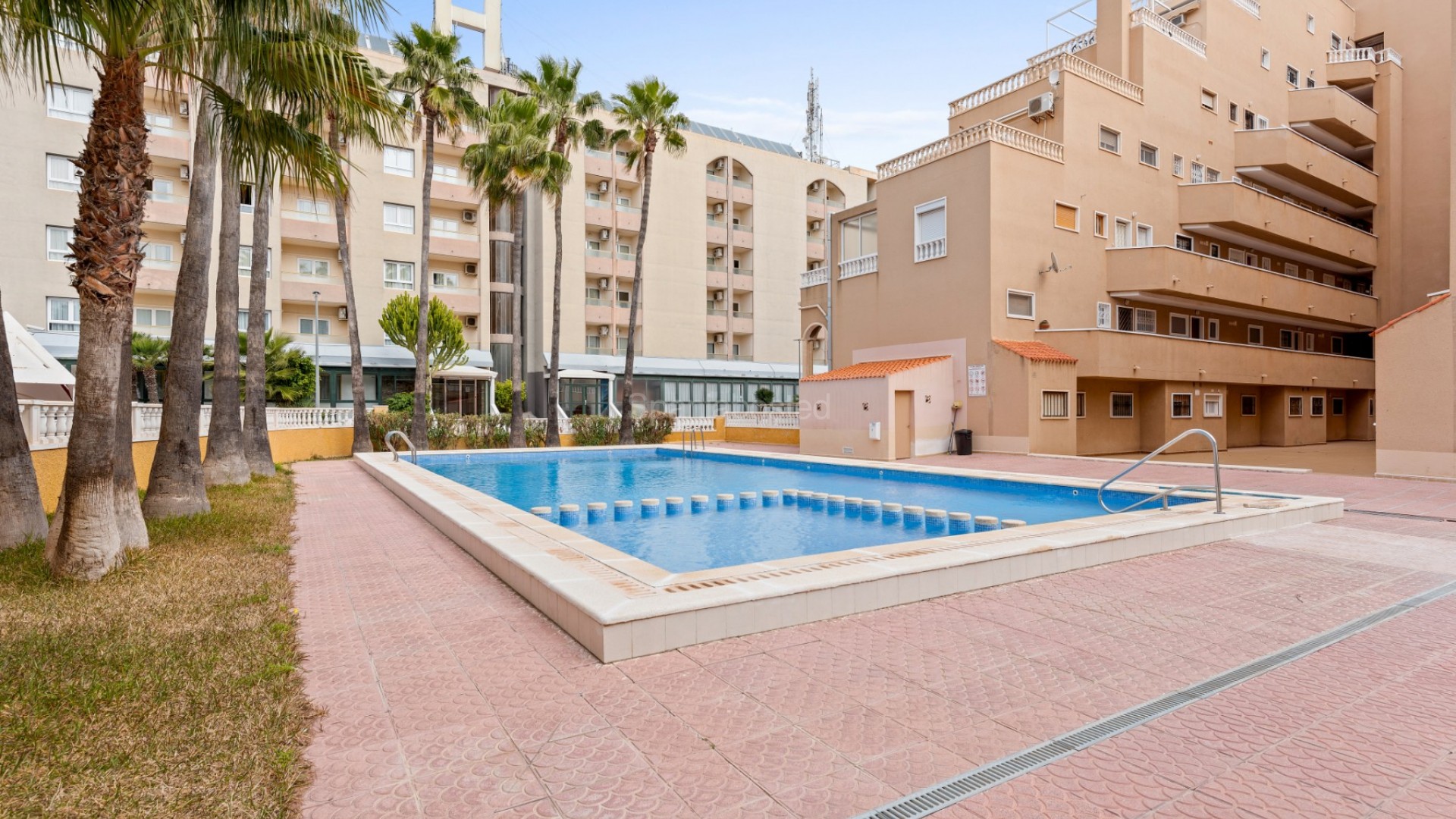 Segunda mano - Apartamento -
Orihuela Costa - Punta Prima