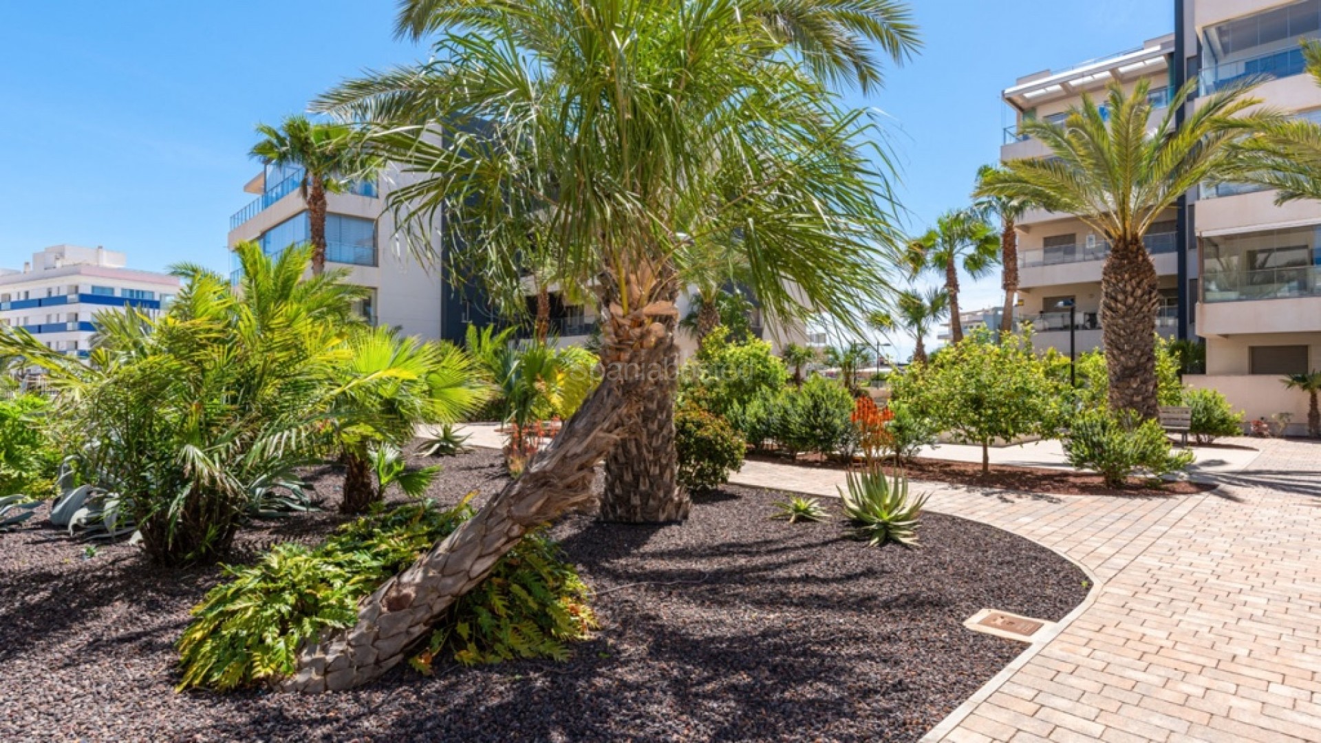 Segunda mano - Apartamento -
Orihuela Costa - Villamartin