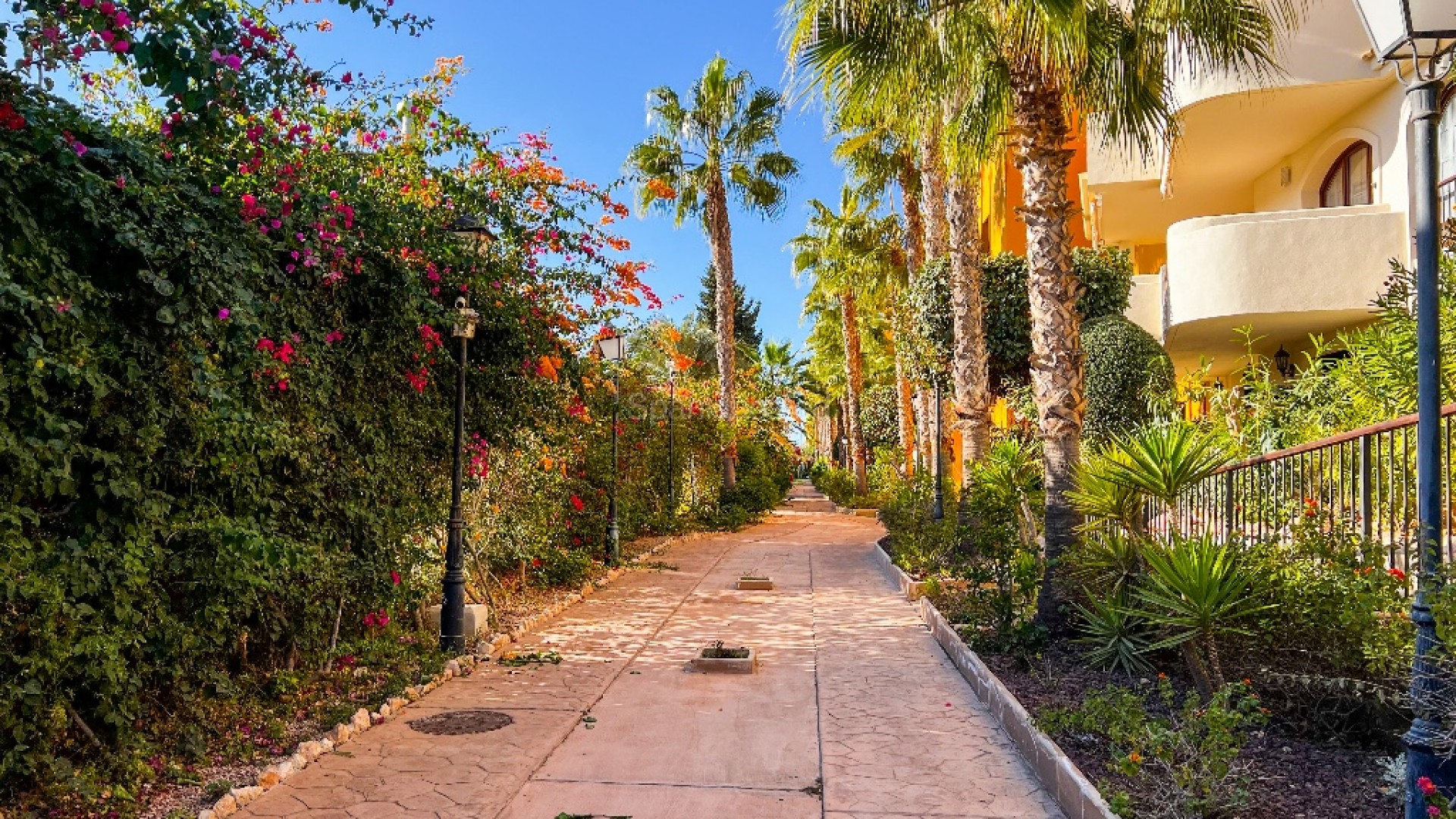 Segunda mano - Apartamento -
Punta Prima