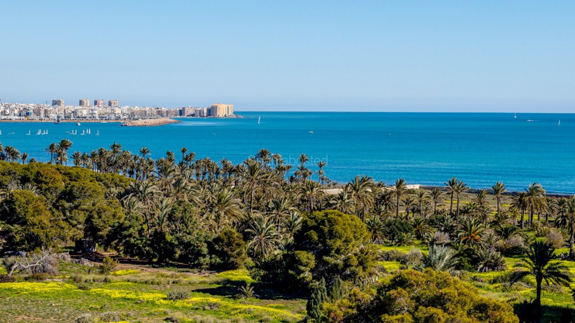 Segunda mano - Apartamento -
Punta Prima