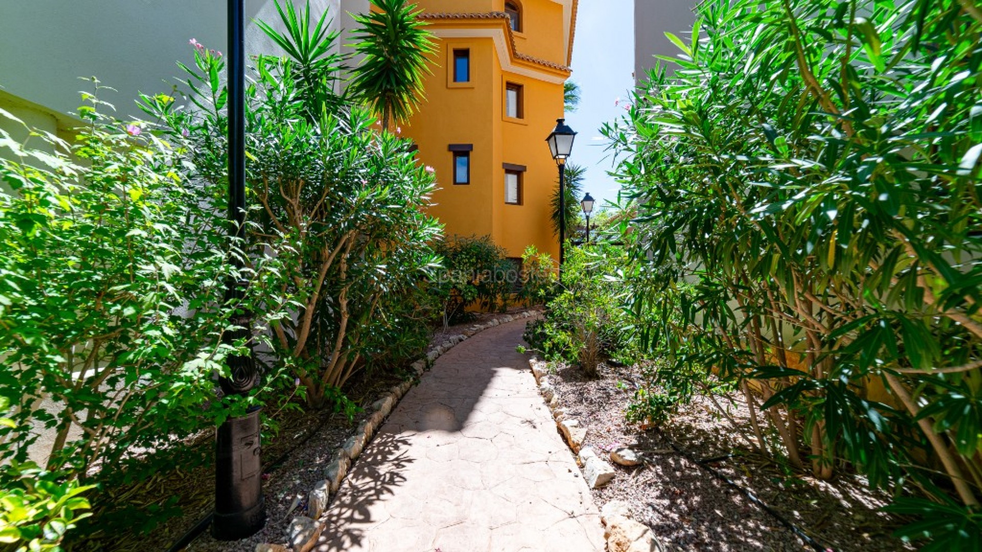 Segunda mano - Apartamento -
Punta Prima