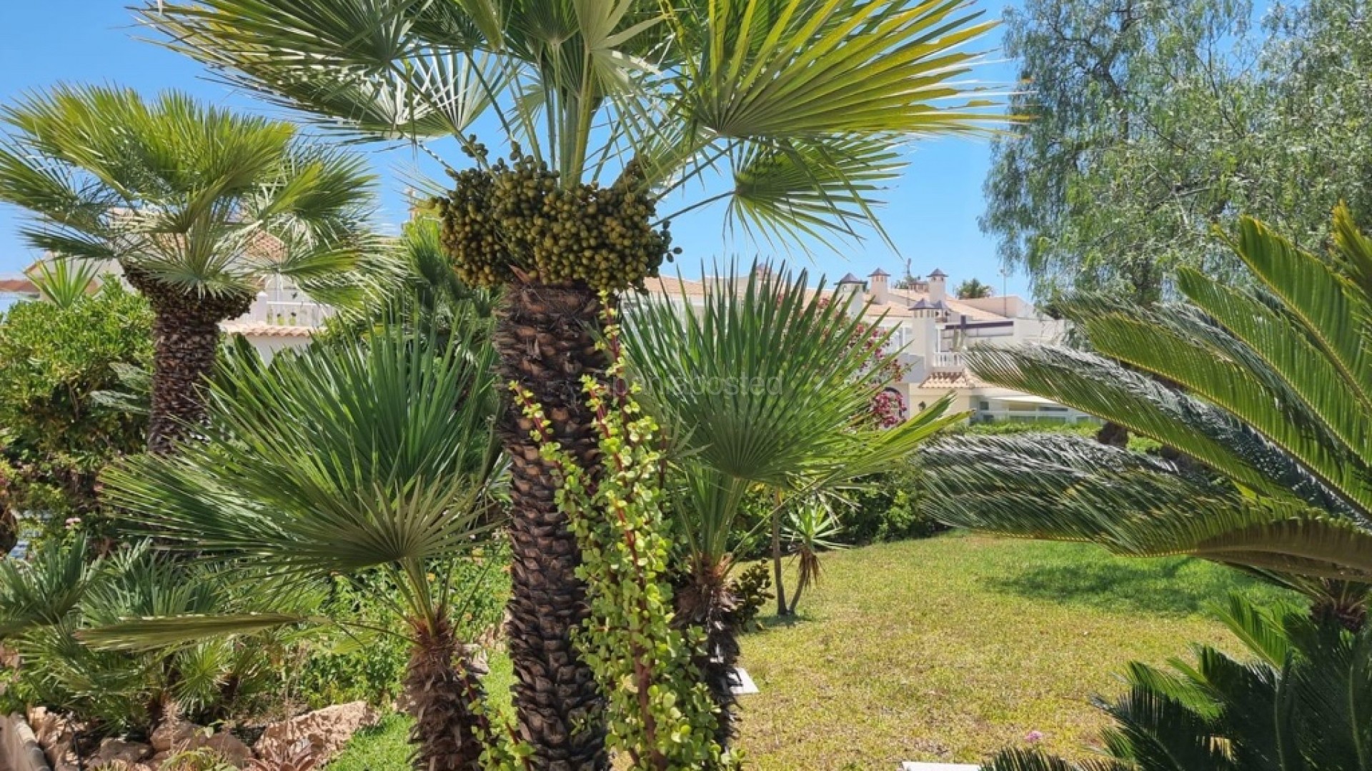 Segunda mano - Apartamento -
Torrevieja - Los Balcones