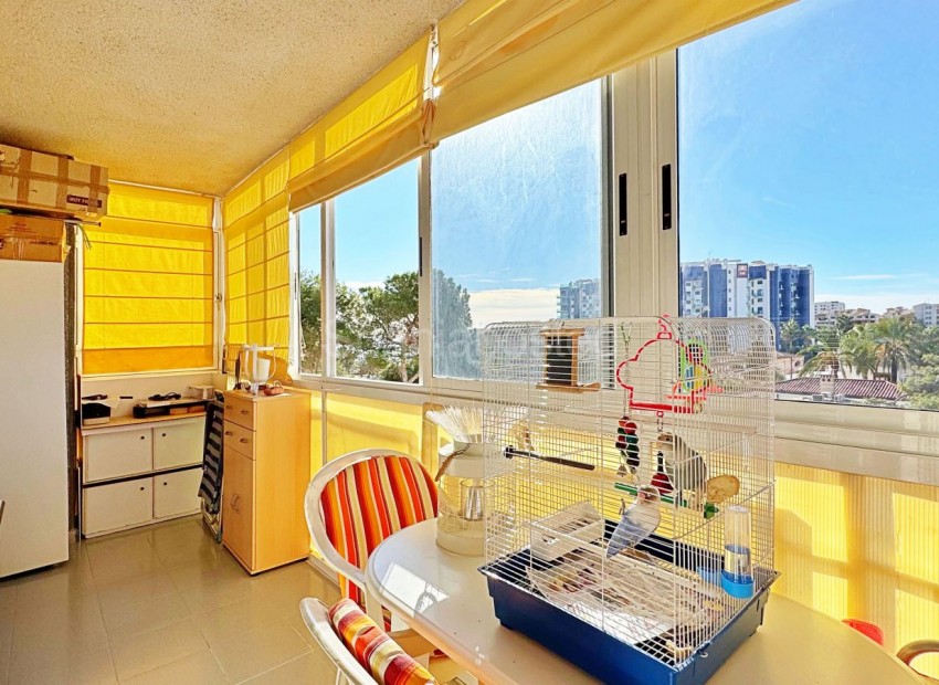 Segunda mano - Apartamento -
Torrevieja - Rocio del Mar